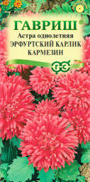 Астра Эрфуртский карлик Кармезин 0,3гр ГШцветы 