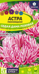 Астра Седая Дама Розовая Семена Алтая