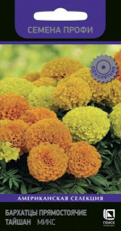 Бархатцы прямостоячие Тайшан Микс 10шт Поиск