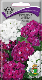 Гвоздика турецкая Адажио 0,3гр Поиск
