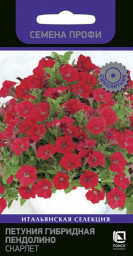 Петуния гибридная Пендолино Скарлет 5шт Поиск